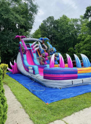 T-REX 20 FT DUAL LANE