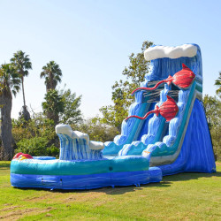 Stingray Ultimate Splash Water Slide 20 FT
